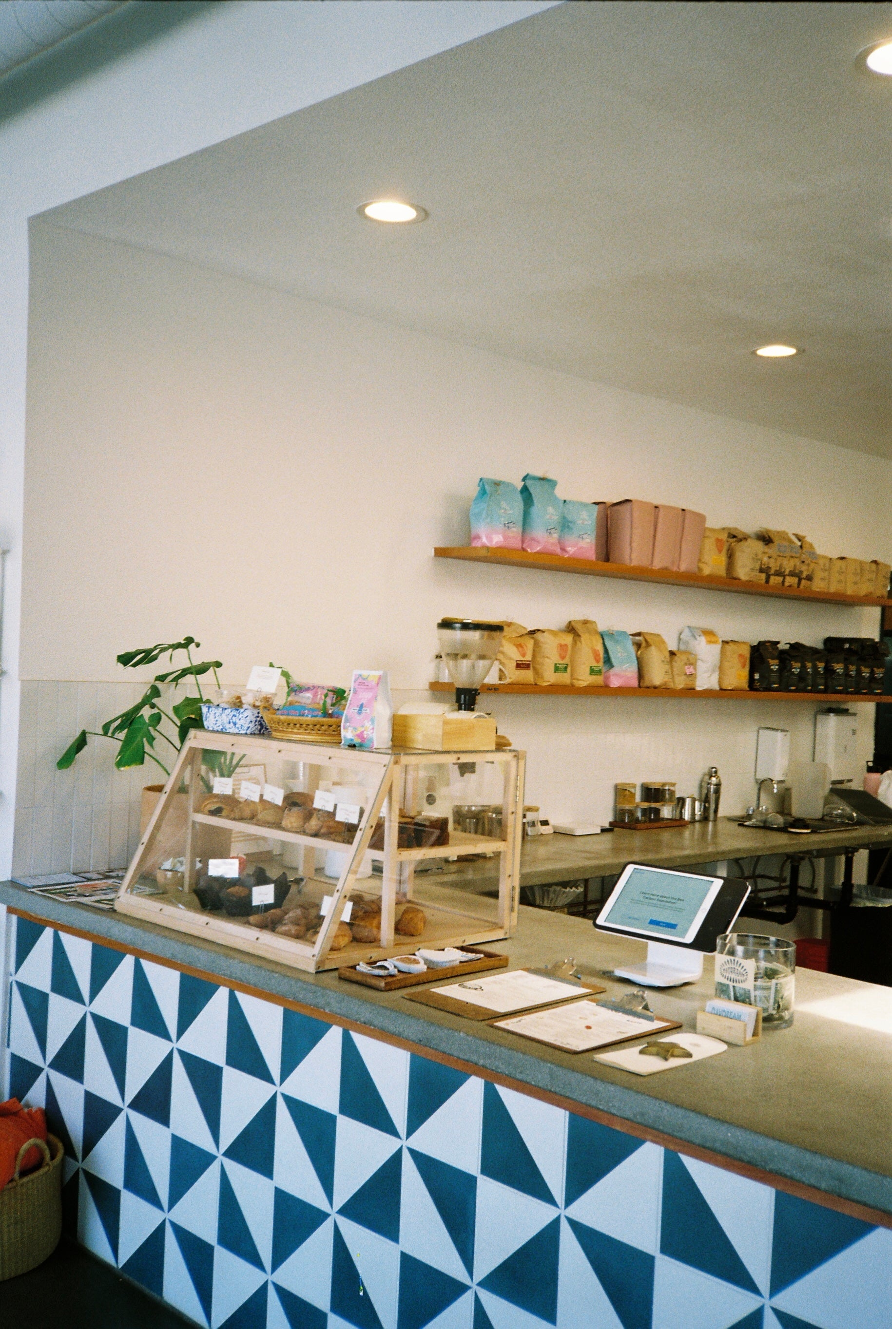Home | DAYDREAM SURF SHOP